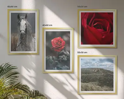 Set de 4 cuadros para salón con diseño de rosas rojas y caballo sobre fondo gris
