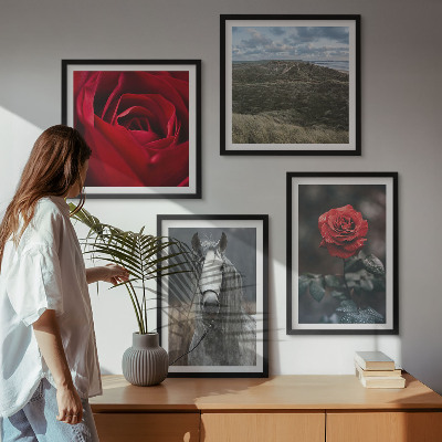 Set de 4 cuadros para salón Rosas rojas, caballo, fondo gris