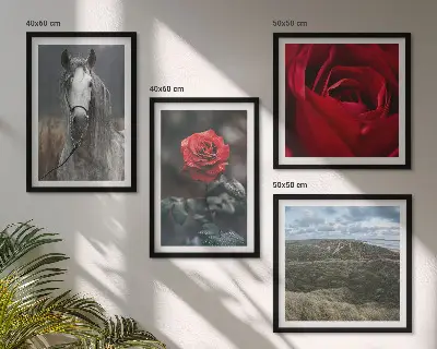 Set de 4 cuadros para salón con diseño de rosas rojas y caballo sobre fondo gris