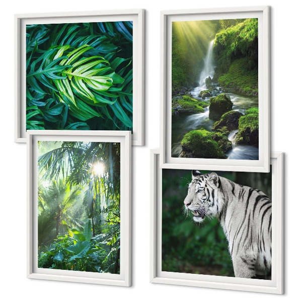 Set de 4 cuadros para salón Cascada del Tigre Blanco de la Selva