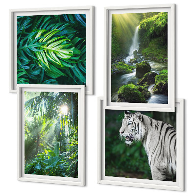 Set de 4 cuadros para salón Cascada del Tigre Blanco de la Selva