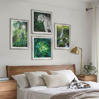 Set de 4 cuadros para salón Cascada del Tigre Blanco de la Selva