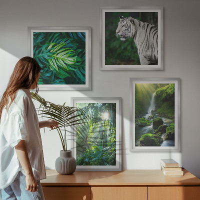 Set de 4 cuadros para salón Cascada del Tigre Blanco de la Selva