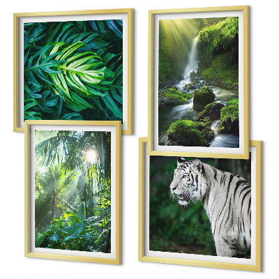 Set de 4 cuadros para salón Cascada del Tigre Blanco de la Selva
