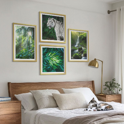 Set de 4 cuadros para salón Cascada del Tigre Blanco de la Selva