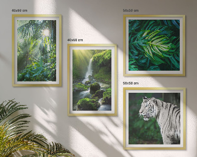 Set de 4 cuadros para salón Cascada del Tigre Blanco de la Selva