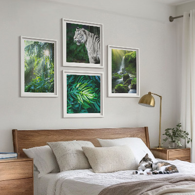 Set de 4 cuadros para salón Cascada del Tigre Blanco de la Selva