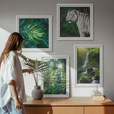 Set de 4 cuadros para salón Cascada del Tigre Blanco de la Selva