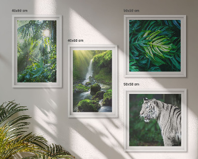 Set de 4 cuadros para salón Cascada del Tigre Blanco de la Selva