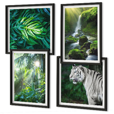 Set de 4 cuadros para salón Cascada del Tigre Blanco de la Selva