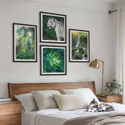 Set de 4 cuadros para salón Cascada del Tigre Blanco de la Selva