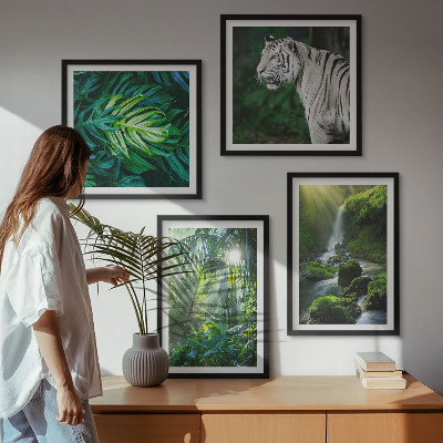 Set de 4 cuadros para salón Cascada del Tigre Blanco de la Selva