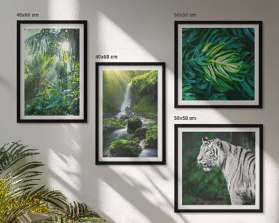 Set de 4 cuadros para salón Cascada del Tigre Blanco de la Selva