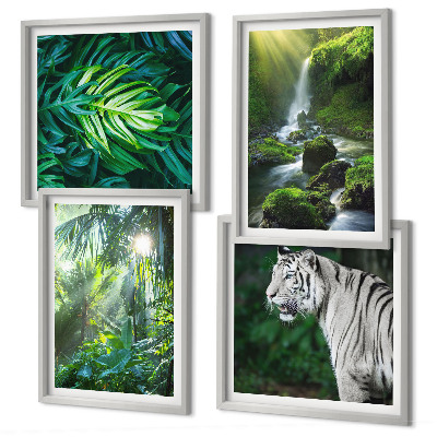 Set de 4 cuadros para salón Cascada del Tigre Blanco de la Selva