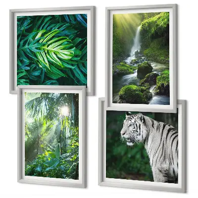 Set de 4 cuadros para salón con diseño de cascada del tigre blanco de la selva