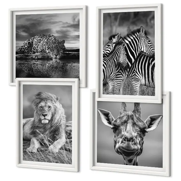 Set de 4 cuadros decorativos para salón con motivos de león, jaguar, jirafa y cebras