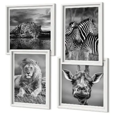 Set de 4 cuadros decorativos para salón con motivos de león, jaguar, jirafa y cebras