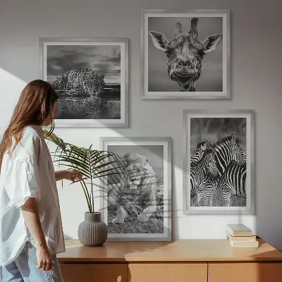Set de 4 cuadros decorativos para salón con motivos de león, jaguar, jirafa y cebras