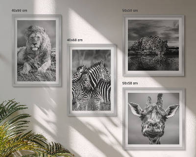 Set de 4 cuadros para salón Animales salvajes: León, Jaguar, Jirafa, Cebras