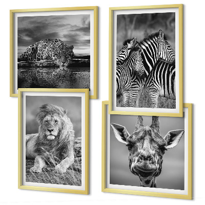 Set de 4 cuadros para salón Animales salvajes: León, Jaguar, Jirafa, Cebras