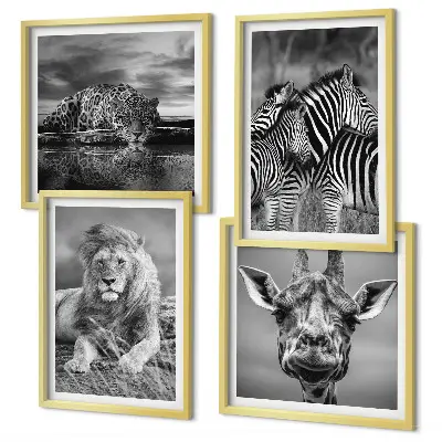 Set de 4 cuadros decorativos para salón con motivos de león, jaguar, jirafa y cebras