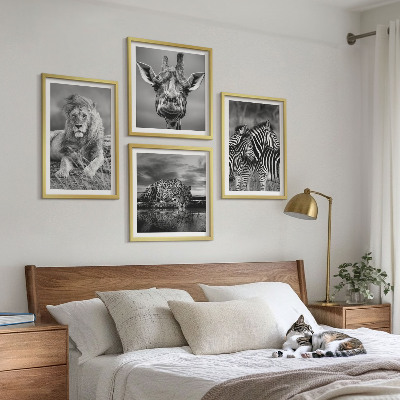 Set de 4 cuadros para salón Animales salvajes: León, Jaguar, Jirafa, Cebras