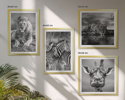 Set de 4 cuadros para salón Animales salvajes: León, Jaguar, Jirafa, Cebras