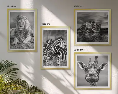 Set de 4 cuadros decorativos para salón con motivos de león, jaguar, jirafa y cebras