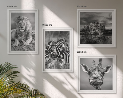 Set de 4 cuadros para salón Animales salvajes: León, Jaguar, Jirafa, Cebras