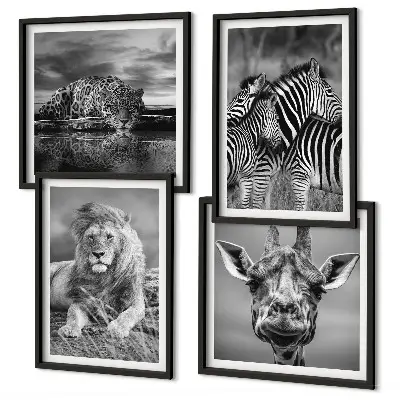 Set de 4 cuadros decorativos para salón con motivos de león, jaguar, jirafa y cebras