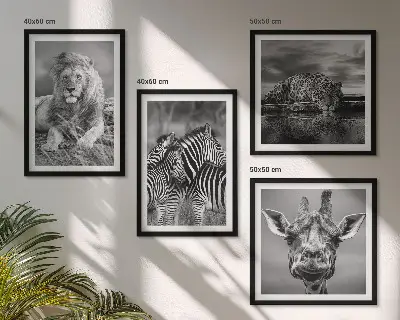 Set de 4 cuadros decorativos para salón con motivos de león, jaguar, jirafa y cebras