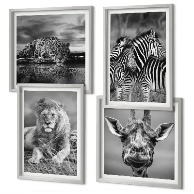 Set de 4 cuadros decorativos para salón con motivos de león, jaguar, jirafa y cebras