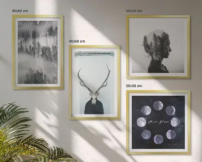 Set de 4 cuadros para salón con diseño de mujer calavera con luna y niebla en el bosque
