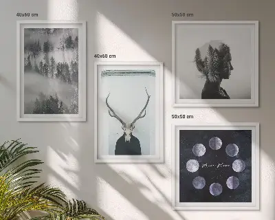 Set de 4 cuadros para salón con diseño de mujer calavera con luna y niebla en el bosque