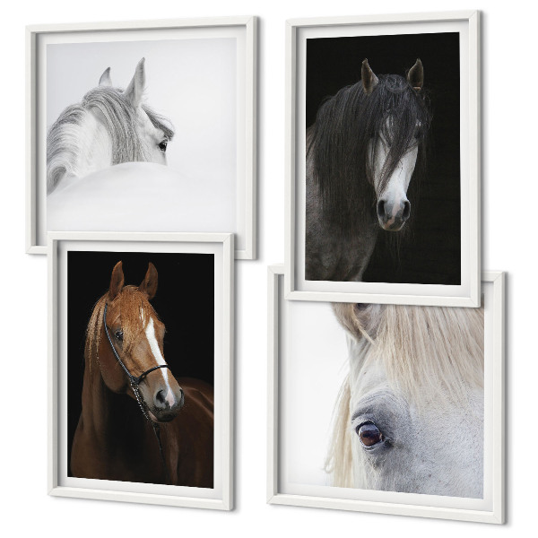 Set de cuadros modernos para salón Retratos de caballos en tonos