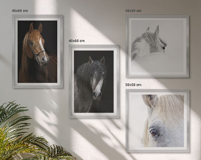 Set de cuadros modernos para salón Retratos de caballos en tonos