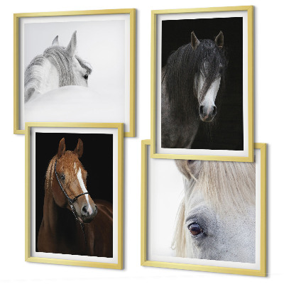 Set de cuadros modernos para salón Retratos de caballos en tonos