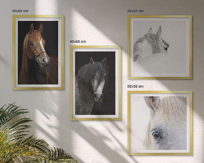 Set de cuadros modernos para salón Retratos de caballos en tonos