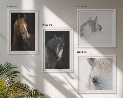 Set de cuadros modernos para salón Retratos de caballos en tonos
