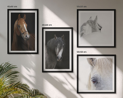 Set de cuadros modernos para salón Retratos de caballos en tonos