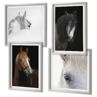 Set de cuadros modernos para salón con retratos de caballos en tonos