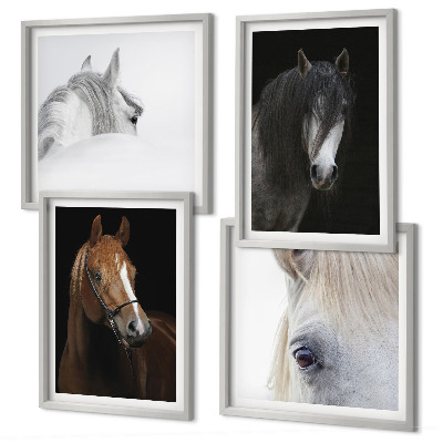Set de cuadros modernos para salón Retratos de caballos en tonos