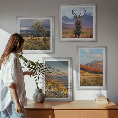 Galería de pared Paisajes de montaña, hierba de ciervo