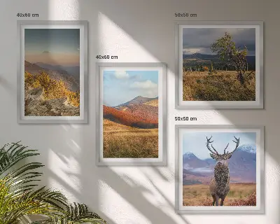 Galería de pared paisajes de montaña con hierba de ciervo