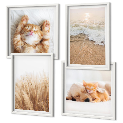 Galería de pared Animales lindos, gatos, perros, playa