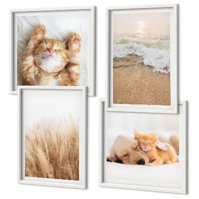 Galería de pared con animales lindos como gatos, perros y motivos de playa
