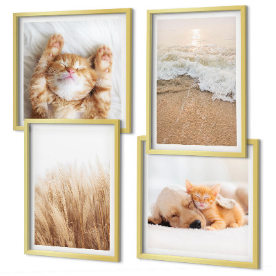 Galería de pared Animales lindos, gatos, perros, playa