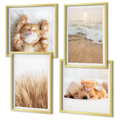 Galería de pared con animales lindos como gatos, perros y motivos de playa