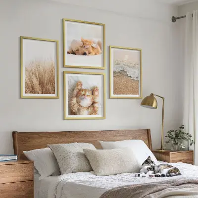 Galería de pared con animales lindos como gatos, perros y motivos de playa