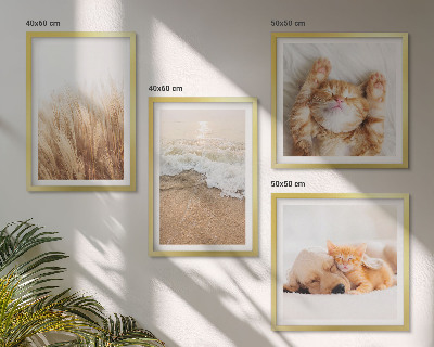 Galería de pared Animales lindos, gatos, perros, playa